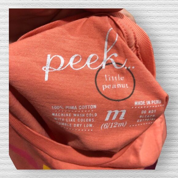 Peek 6-12 Month Baby Girl Graphic Tee Shirts Purple Pink Orange Fall Pima Cotton - Picture 5 of 5